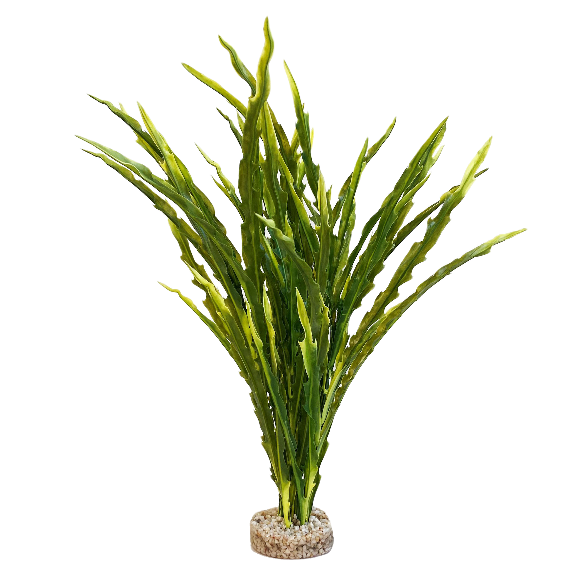 Sydeco - Plastväxt Majestic ocean plant ca 30 cm - Akvaristik - Akvarieinredning - ZOO.se