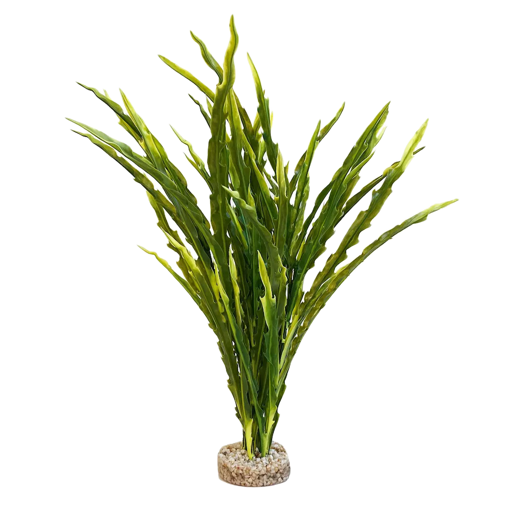 Sydeco Plastväxt Majestic ocean plant ca 30 cm
