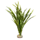 Sydeco Plastplante Majestetisk havplante ca 30 cm