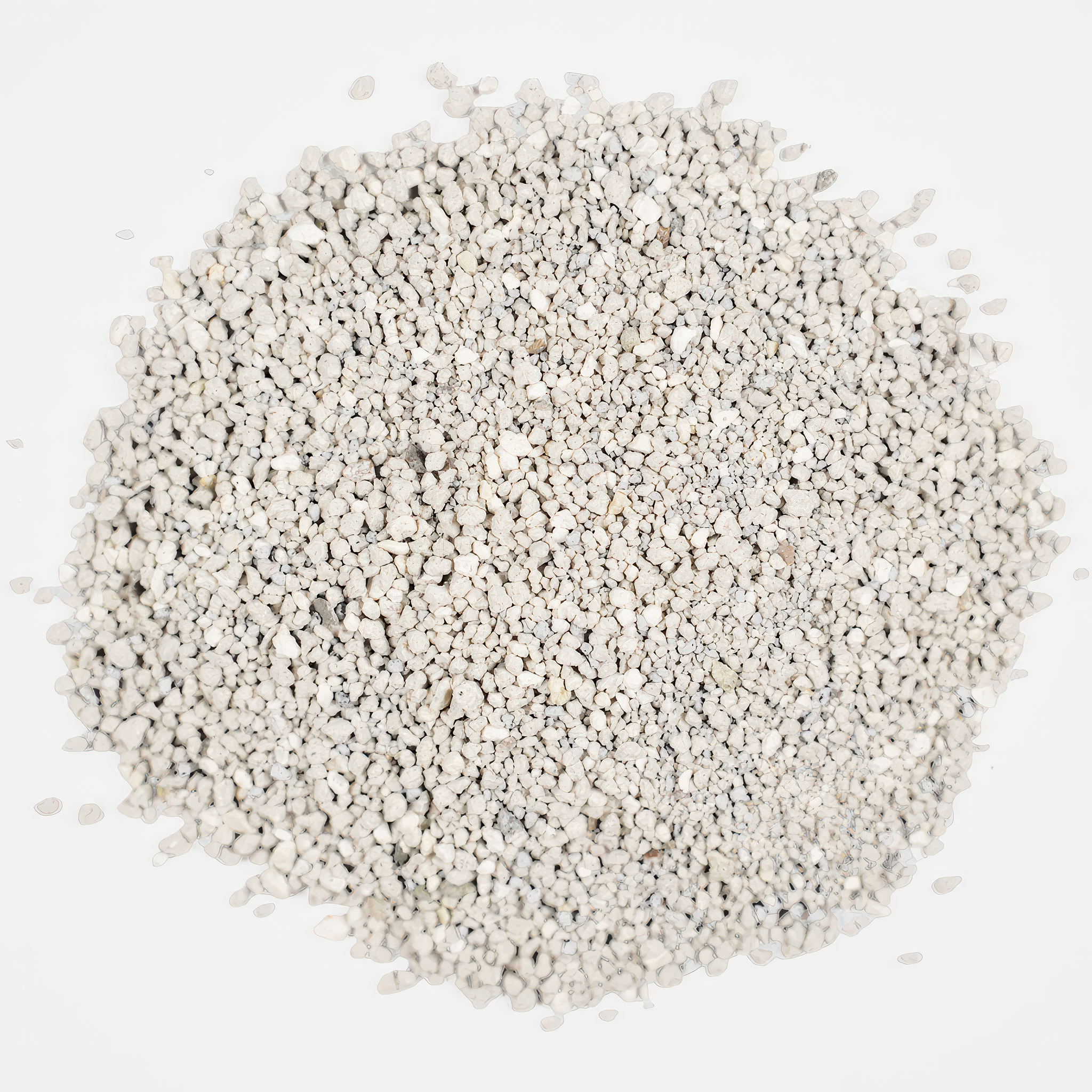 longhair-jasmine-topaz-standard v2-2x.png