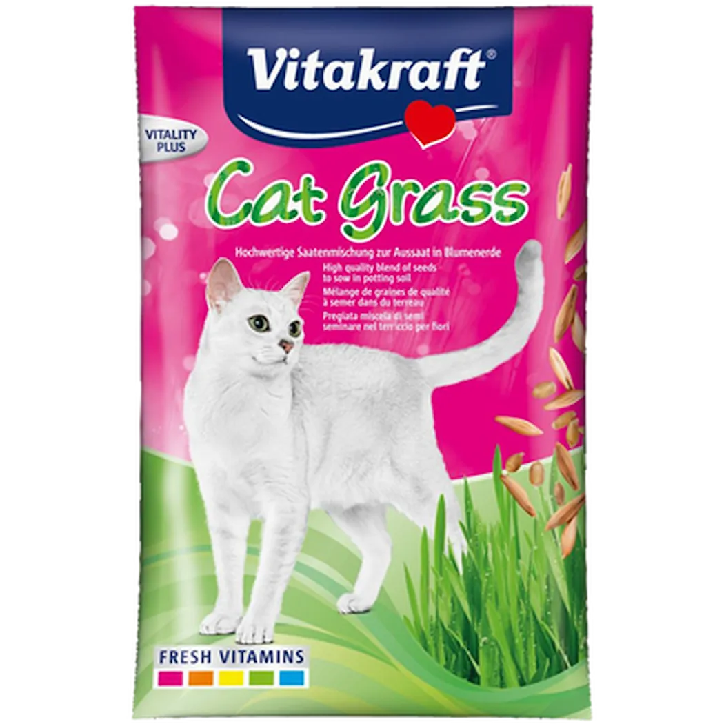 Kattgräs Refillpåse 50 g
