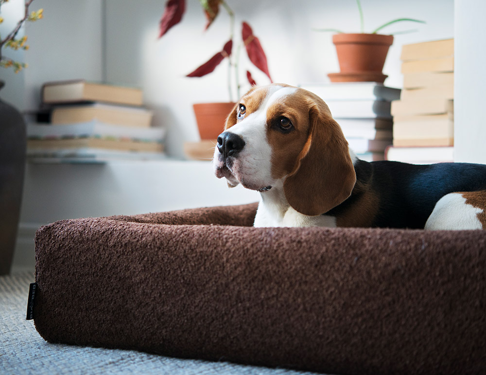 4332, 4333, 4334, 4335, 4336 (9).jpg