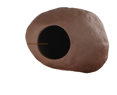 Zooimport Stengrotta