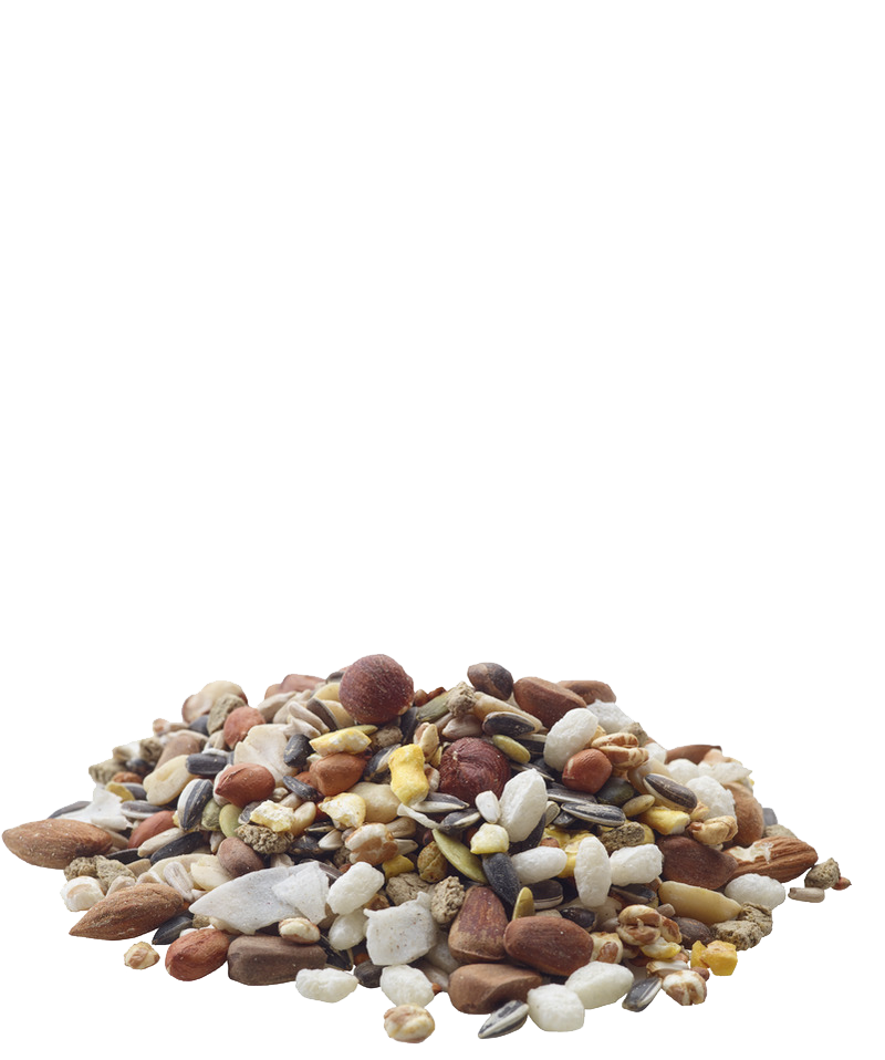 verselelaga_nature_snacks_nutties_rodents_rabbits_