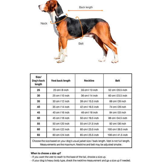 paikka_pet_dog_clothes_coolandbug_vest_zebrapatter