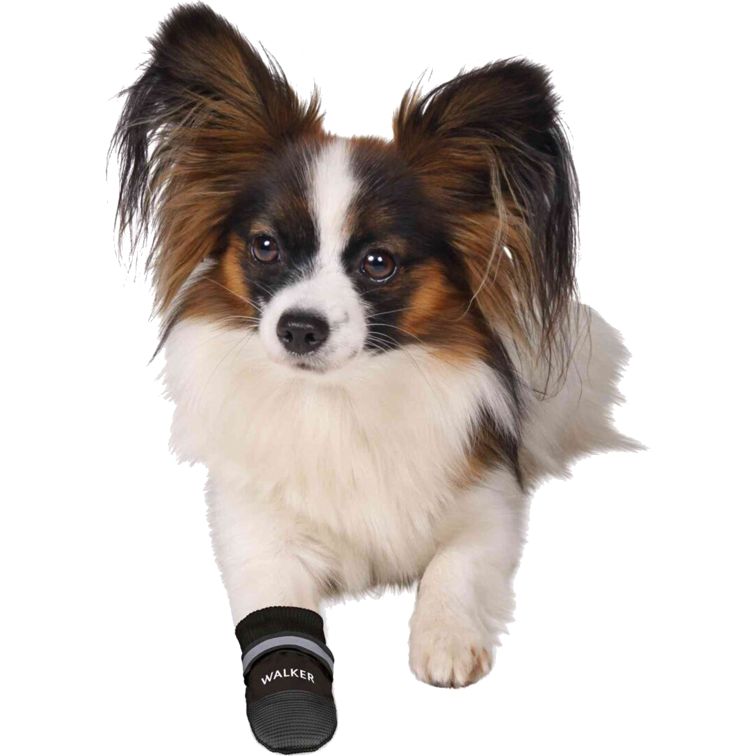 trixie_dog_ontour_dogclothing_walkercare_comfort_p