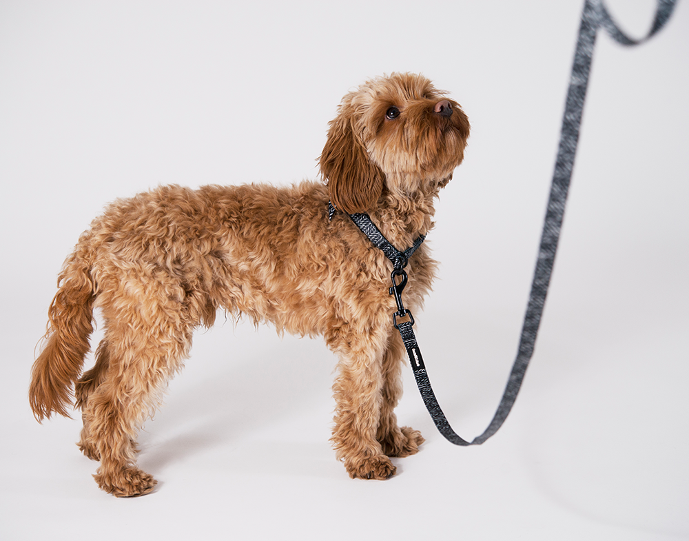 20660, 20661, 20608, 20609, 20610, 20611.png