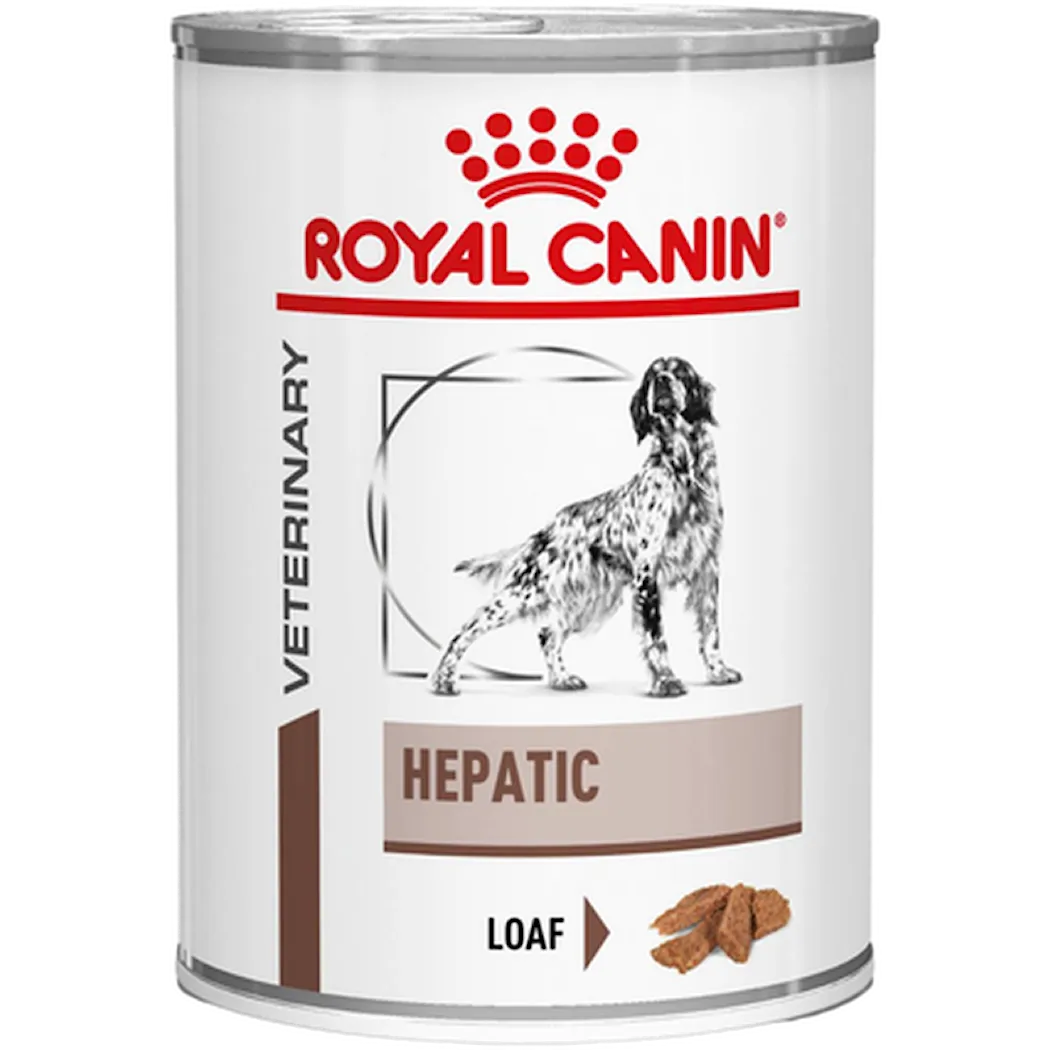 Gastro Intestinal Hepatic Loaf Can koiran märkäruoka