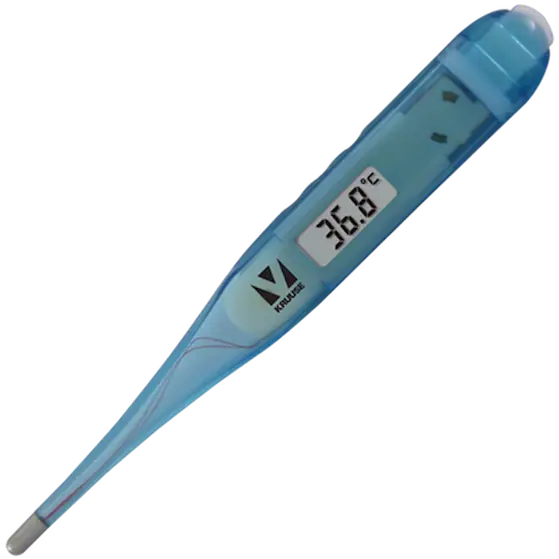 Digital Termometer Blue 12 cm