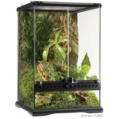 Glass Terrarium Natural Mini/Tall - Advanced Reptile Habitat