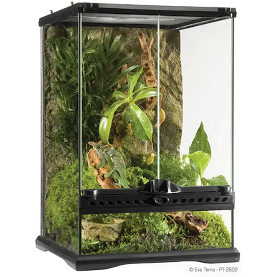Glass Terrarium Natural Mini/Tall - Advanced Reptile Habitat Transparent 30 x 30 x 45 cm
