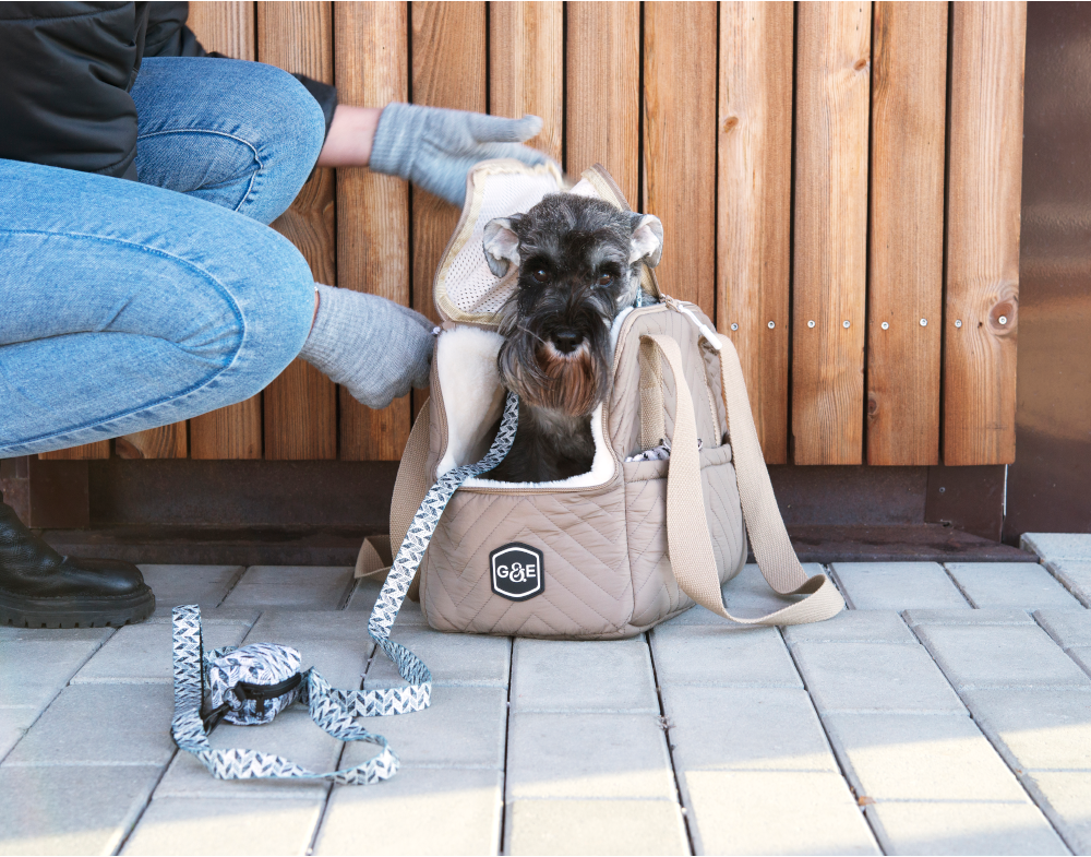 20529, 20668, 20669, 20658 (3).png