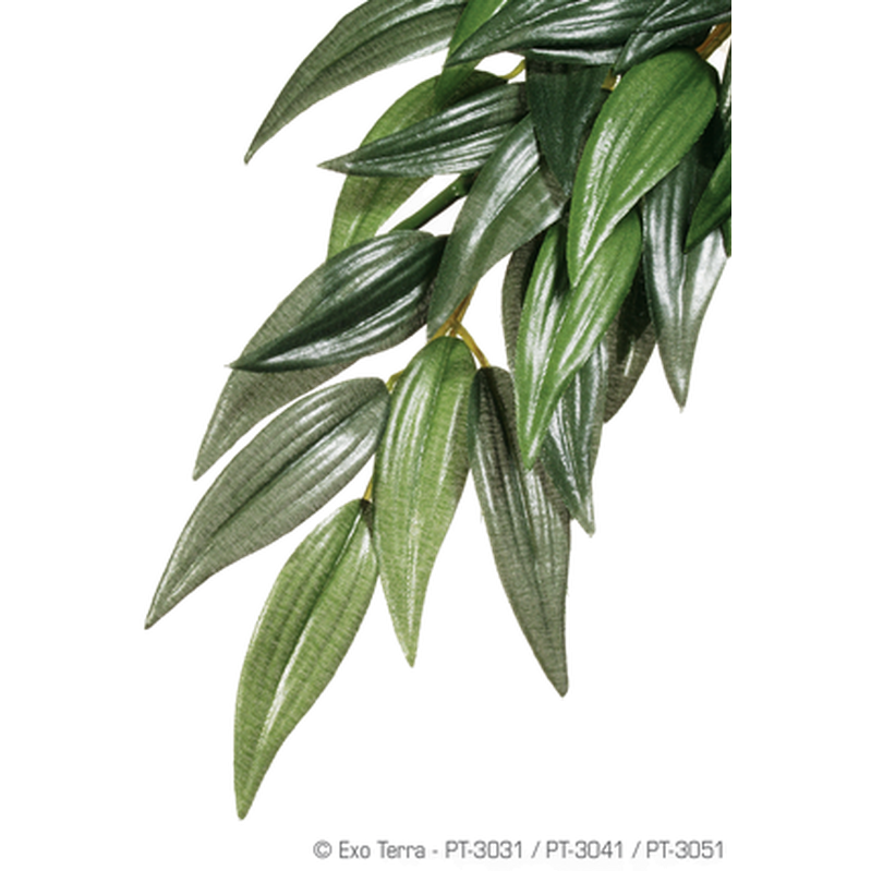 Exoterra - Rucus (Silk) - Hanging Rainforest/Jungle Plants Green Medium - Reptil - ZOO.se