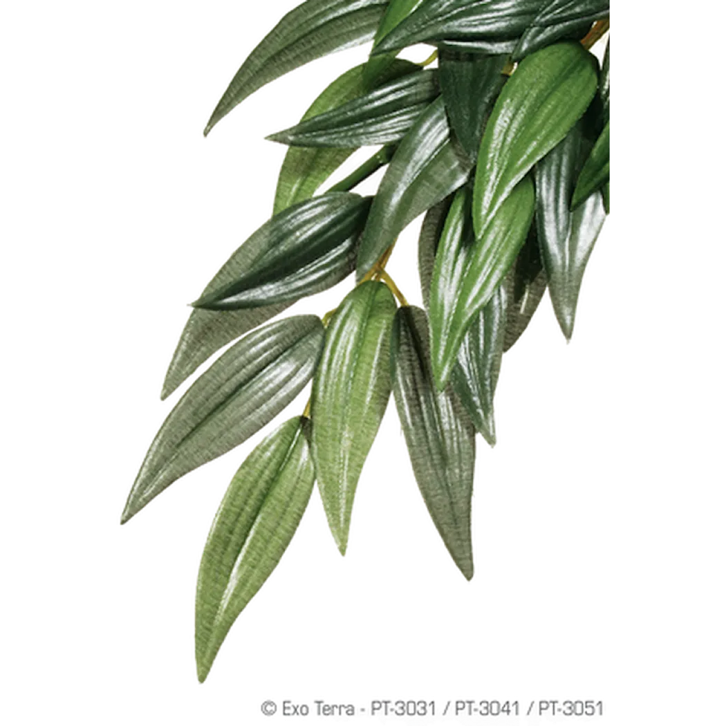 Rucus (silke) - Hengende regnskog/jungelplanter Grønn Medium