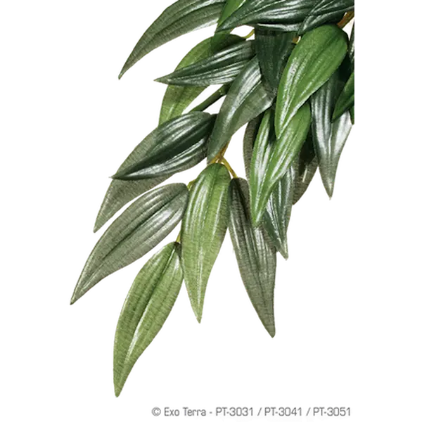 Rucus (Silk) - Hanging Rainforest/Jungle Plants