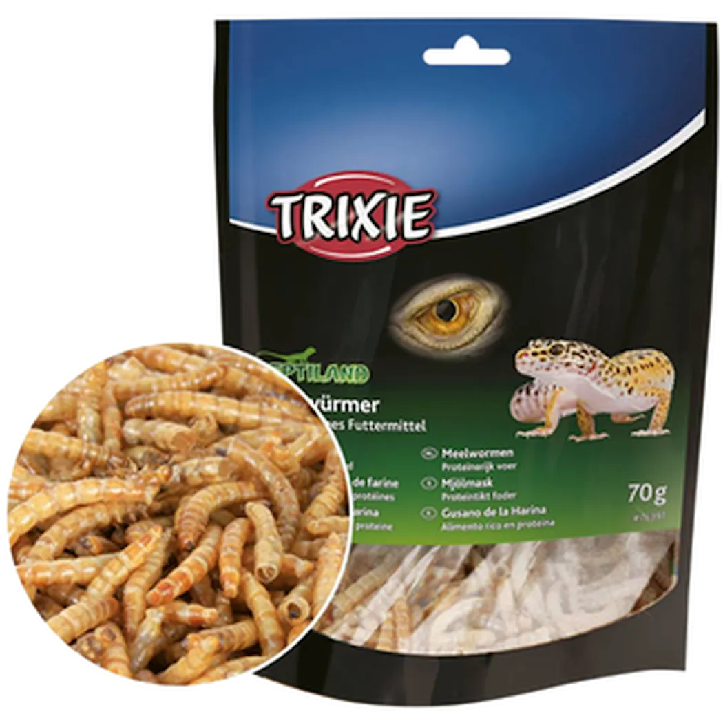 Reptile Mealworms Dried Beige 70 g 