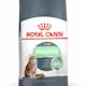Royal Canin Digestive Care Adult Torrfoder för katt