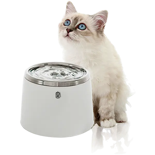 Fresh & Clear Drinking Fountain 2L Stainless Steel White 2 L