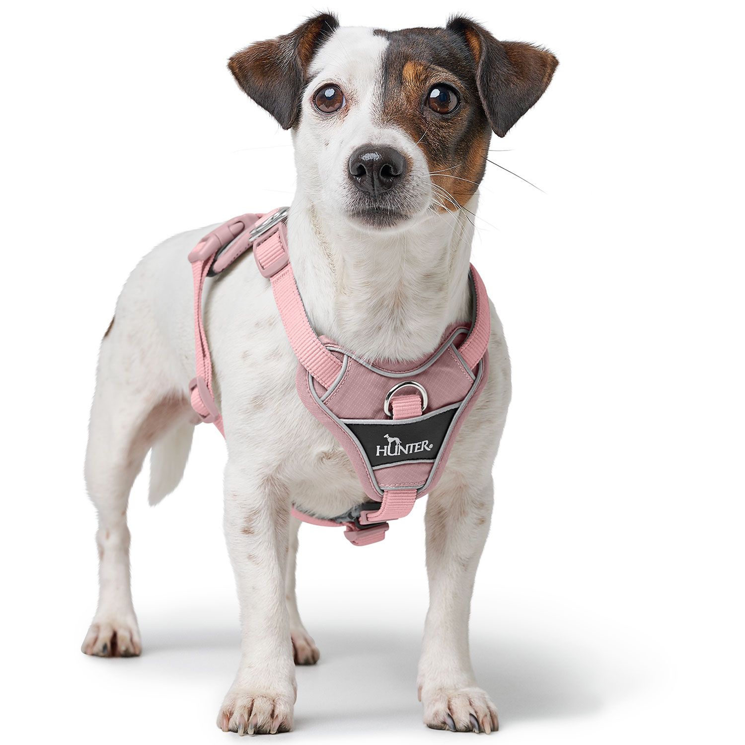 Hunter_harness-divo-up-polyester-antique-pink-3.jp