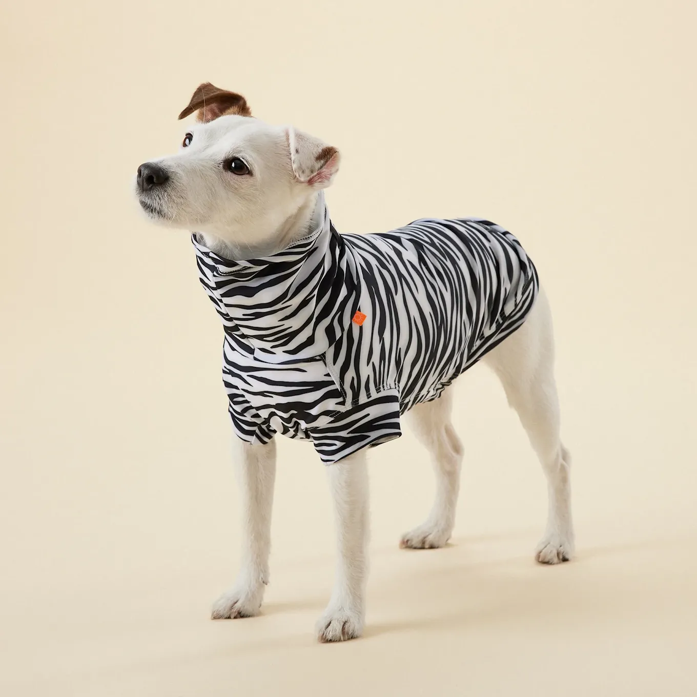 paikka_pet_dog_clothing_UV_bug_shirt_sweater_repel