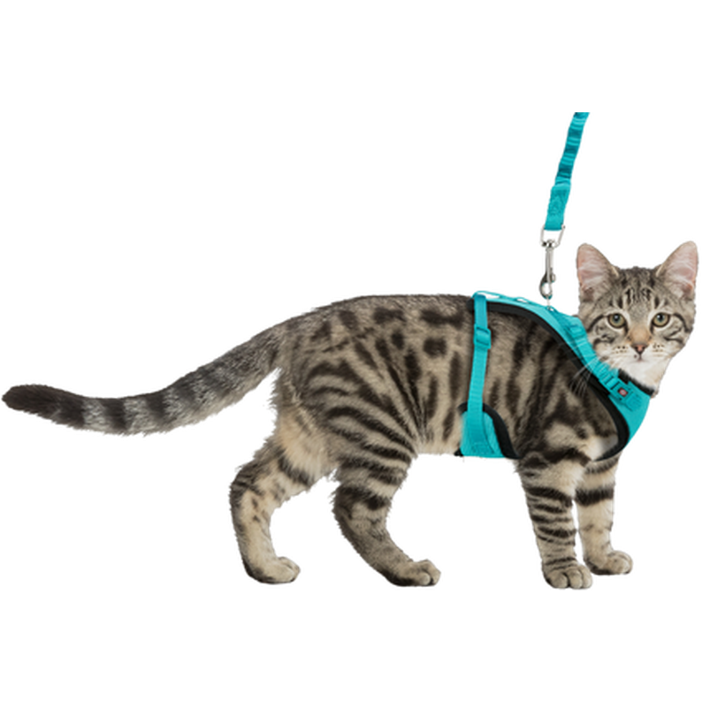 Cat Mesh Y-Harness with Fully Elastic Leash Mix 39-60cm - Katt - Katthalsband, kattsele & kattkoppel - Kattselar Med Kattkoppel - Trixie - ZOO.se