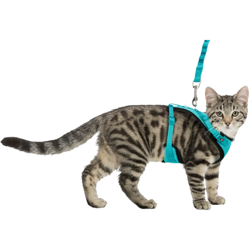 Cat Mesh Y-Harness with Fully Elastic Leash Mix 39-60cm