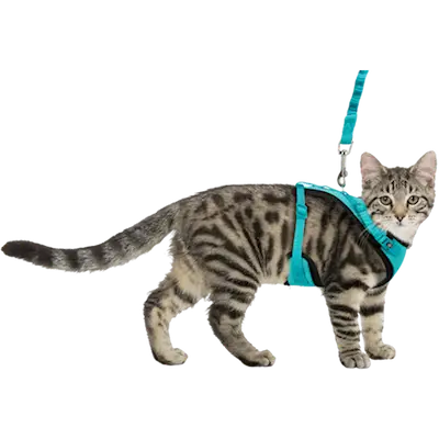 Cat Mesh Y-Harness with Fully Elastic Leash