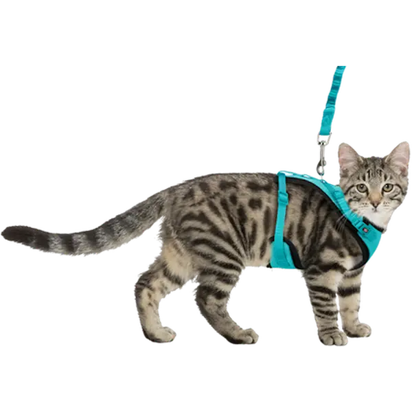 Cat Mesh Y-Harness with Fully Elastic Leash