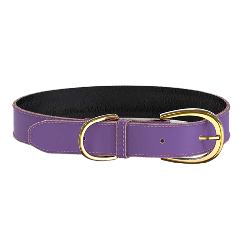 Swaggin Tails - Colorful Collar Purple - Hund - Halsbånd - ZOO.no