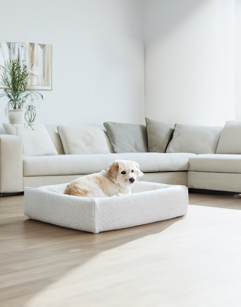 4326, 4327, 4328, 4329, 4330 (4).jpg