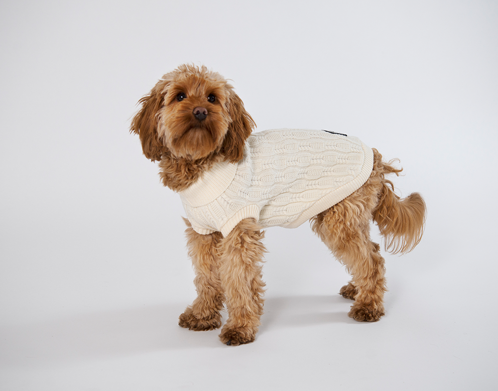 20530, 20531, 20532, 20533, 20534.png