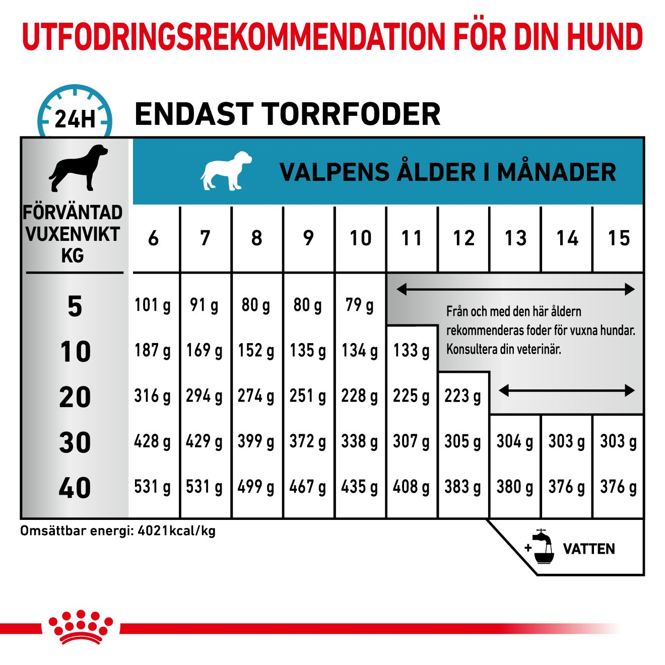 Derma Hypoallergenic Puppy