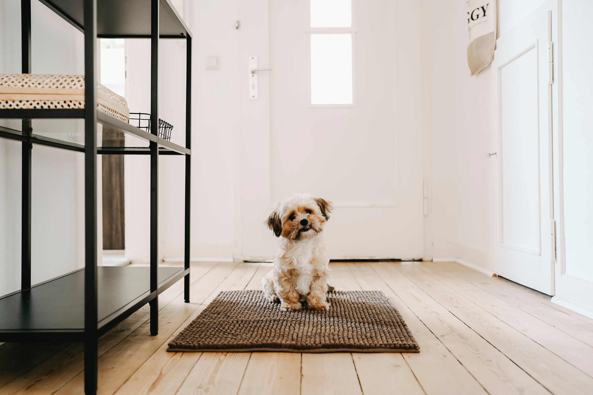 Hunter Mat mud flap Waterloo brown miljöbild.jpg