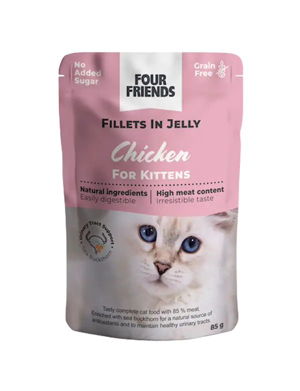 Cat Kitten Chicken in Jelly Pouch 85g