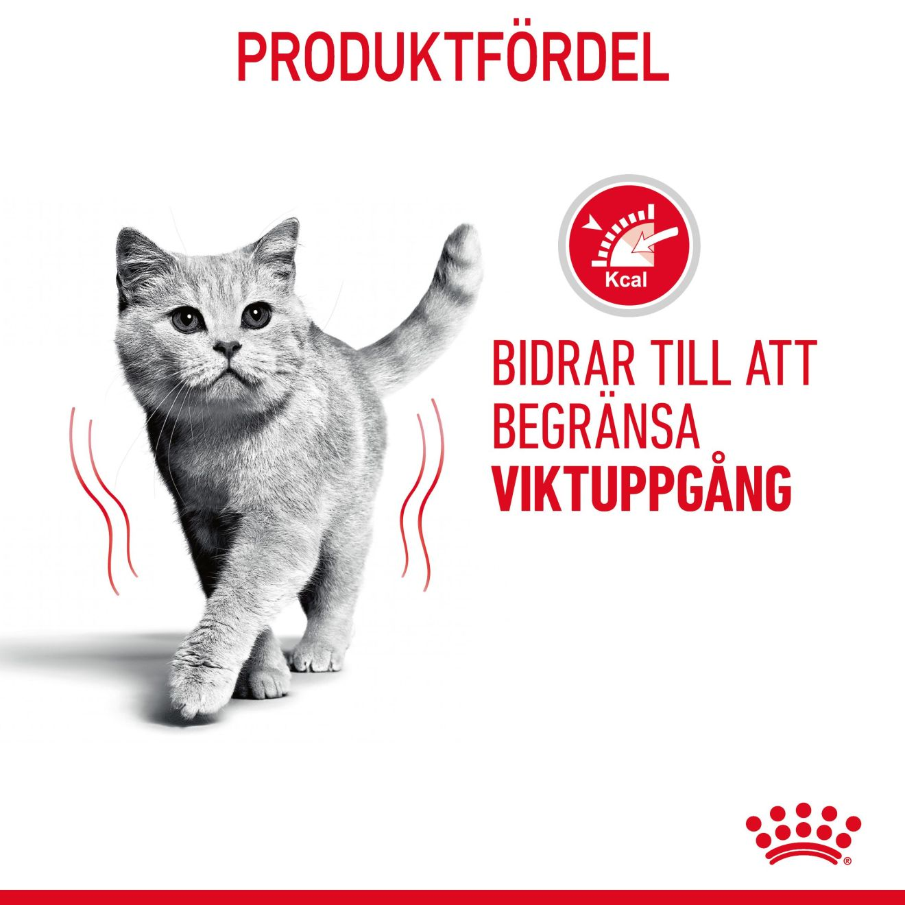 Light Weight Care Gravy Adult