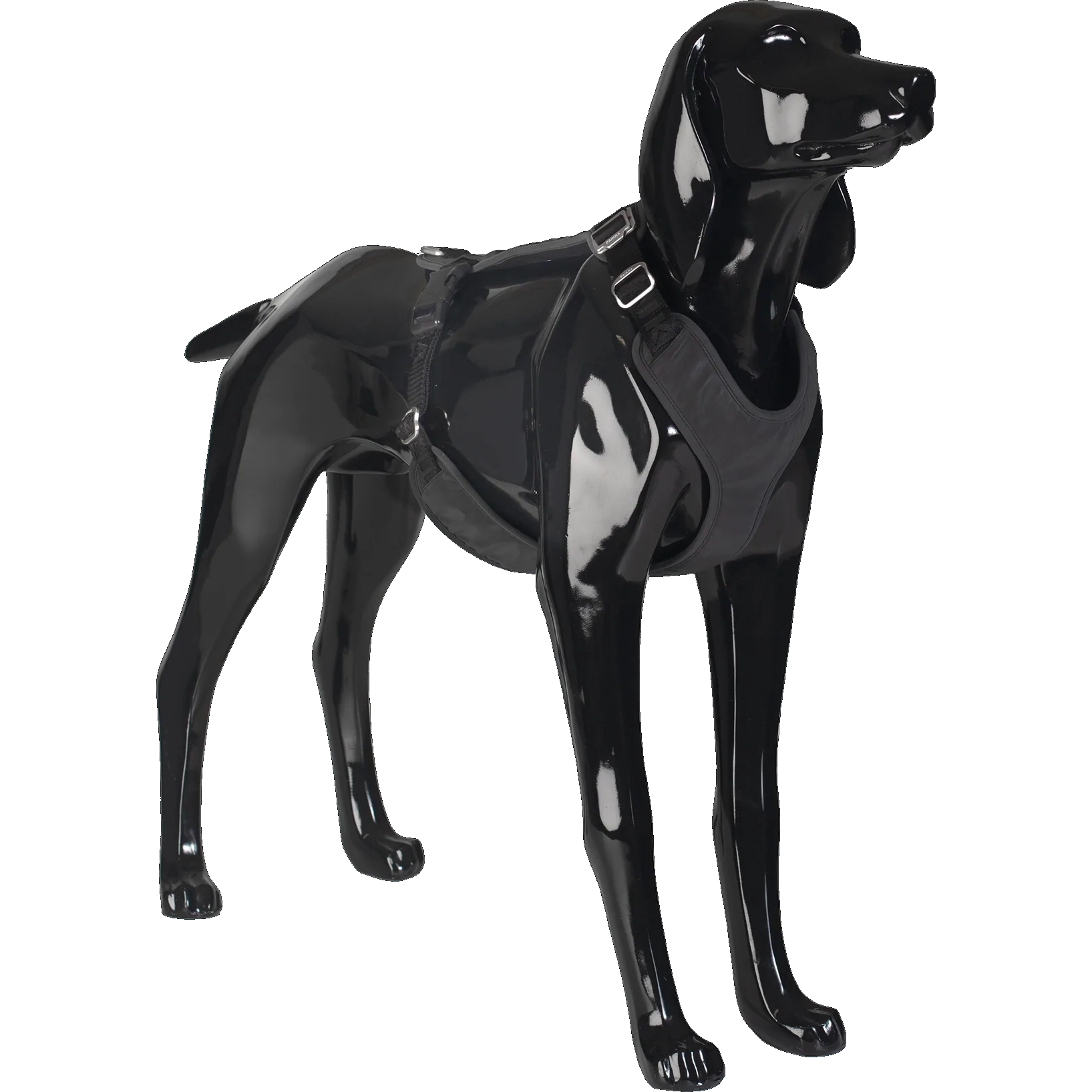 paikka_pet_dog_harness_walking_visibility_reflecti