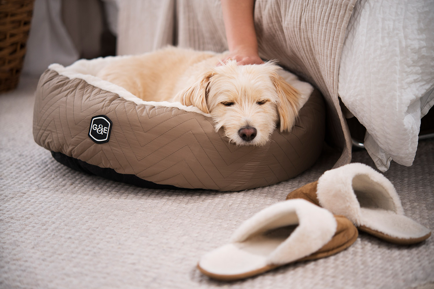 300011004, 300011005 (7).jpg