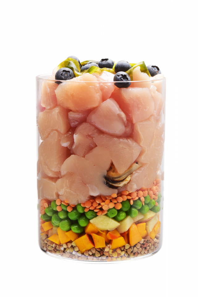 Carnilove Dog True Fresh Chicken Junior Large Bree