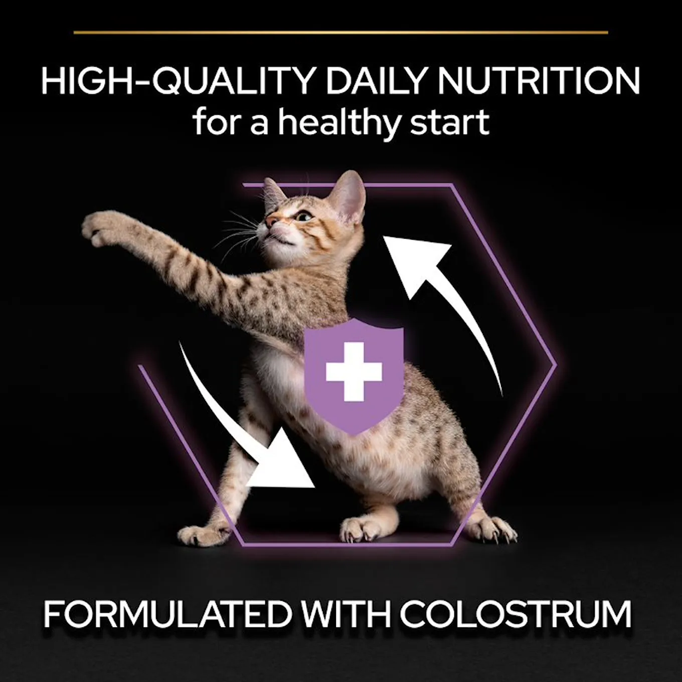 5. Pro Plan Cat Healthy StartHigh Quality.jfif
