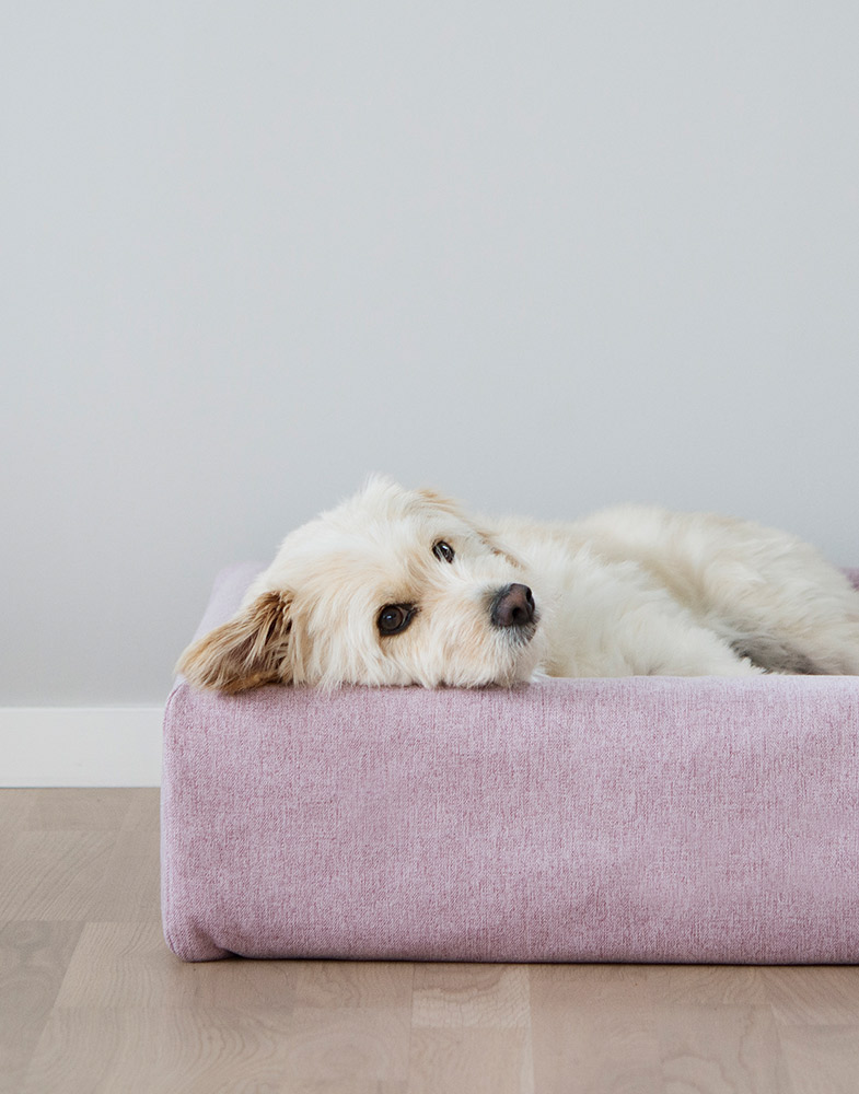 4284, 4285, 4286, 4287, 4307 4308.jpg