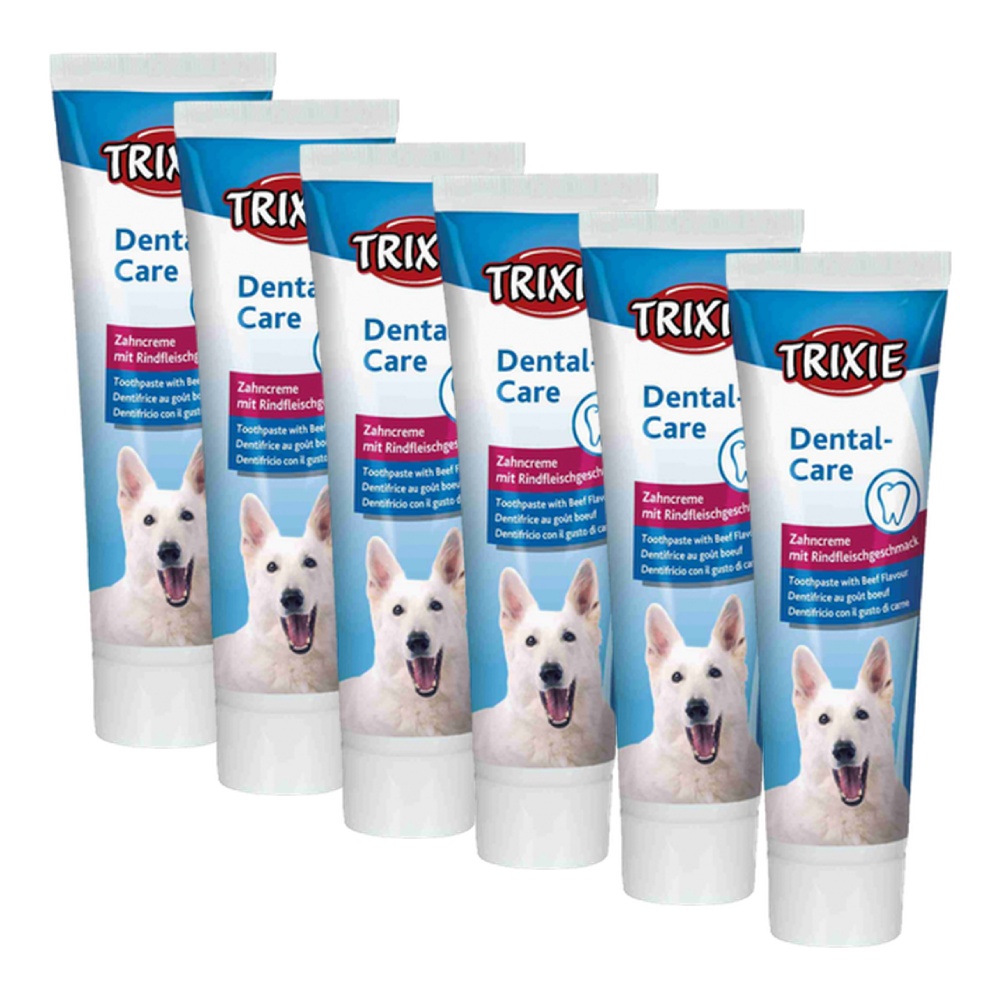 Toothpaste with Beef for Dogs 100 g x 6