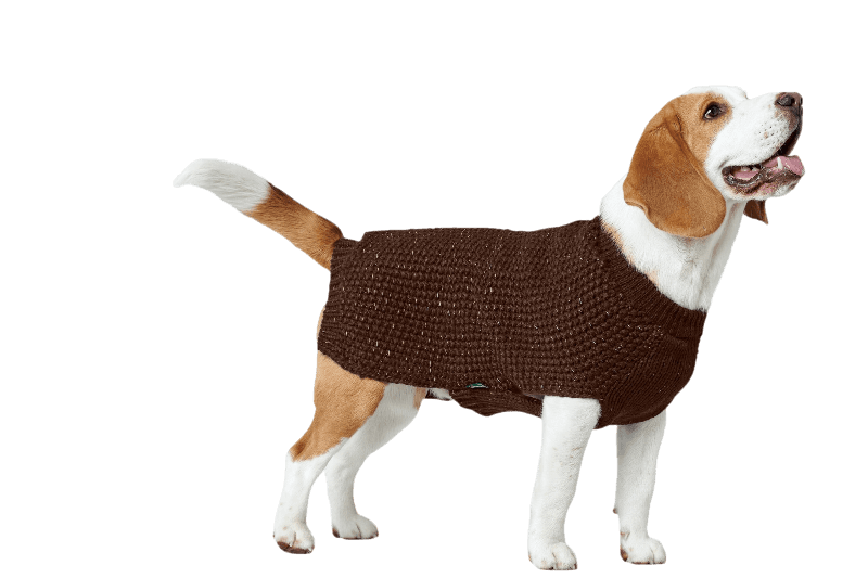 hunter_finja_pullover_brown_beagle.png