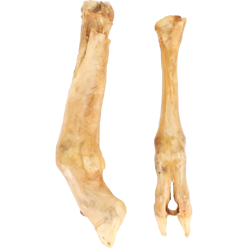 Flamingo - Dog Nature Snack Lamb’s Foot 2-pack - Hund - Hundgodis - ZOO.se