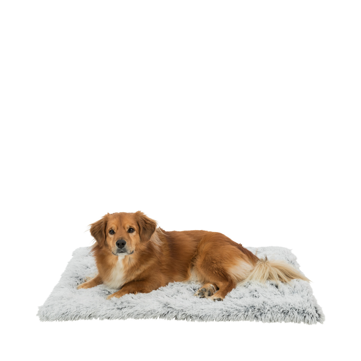 Harvey dyna, 120×80 cm, vit-svart/grå - Hund - Hundbäddar & Dynor - Hunddynor & Madrasser - Trixie - ZOO.se
