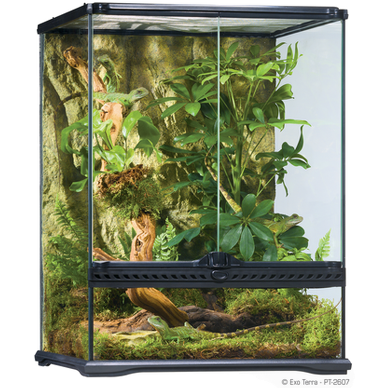 Exoterra - Glass Terrarium Natural Small/Tall - 45 x 45 x 60 cm - Reptil - ZOO.se