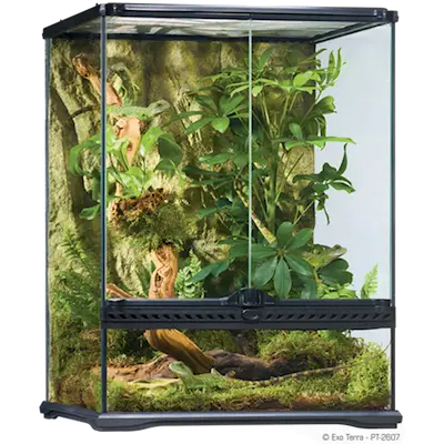 Glass Terrarium Natural Small/Tall - Advanced Reptile Habitat