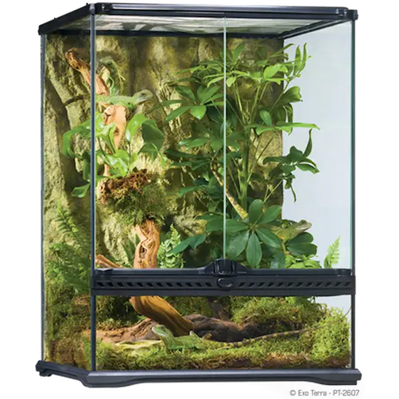 Glass Terrarium Natural Small/Tall - Advanced Reptile Habitat Transparent 45 x 45 x 60 cm