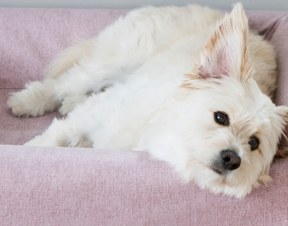 4284, 4285, 4286, 4287, 4307 4308 (2).jpg