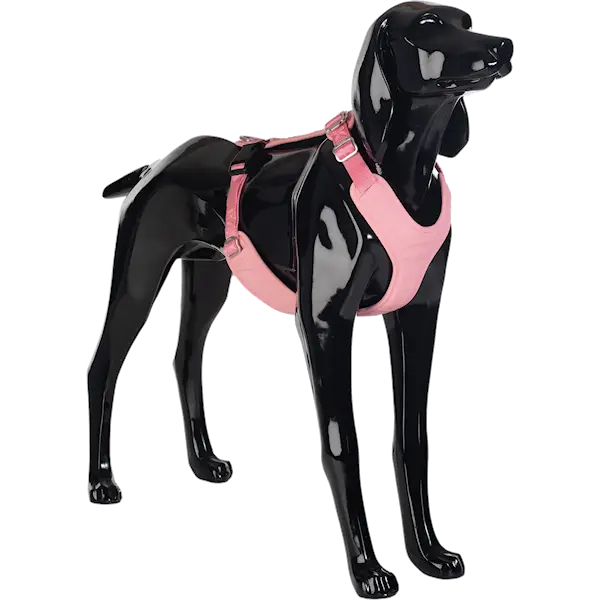 Visibility Harness Pink M