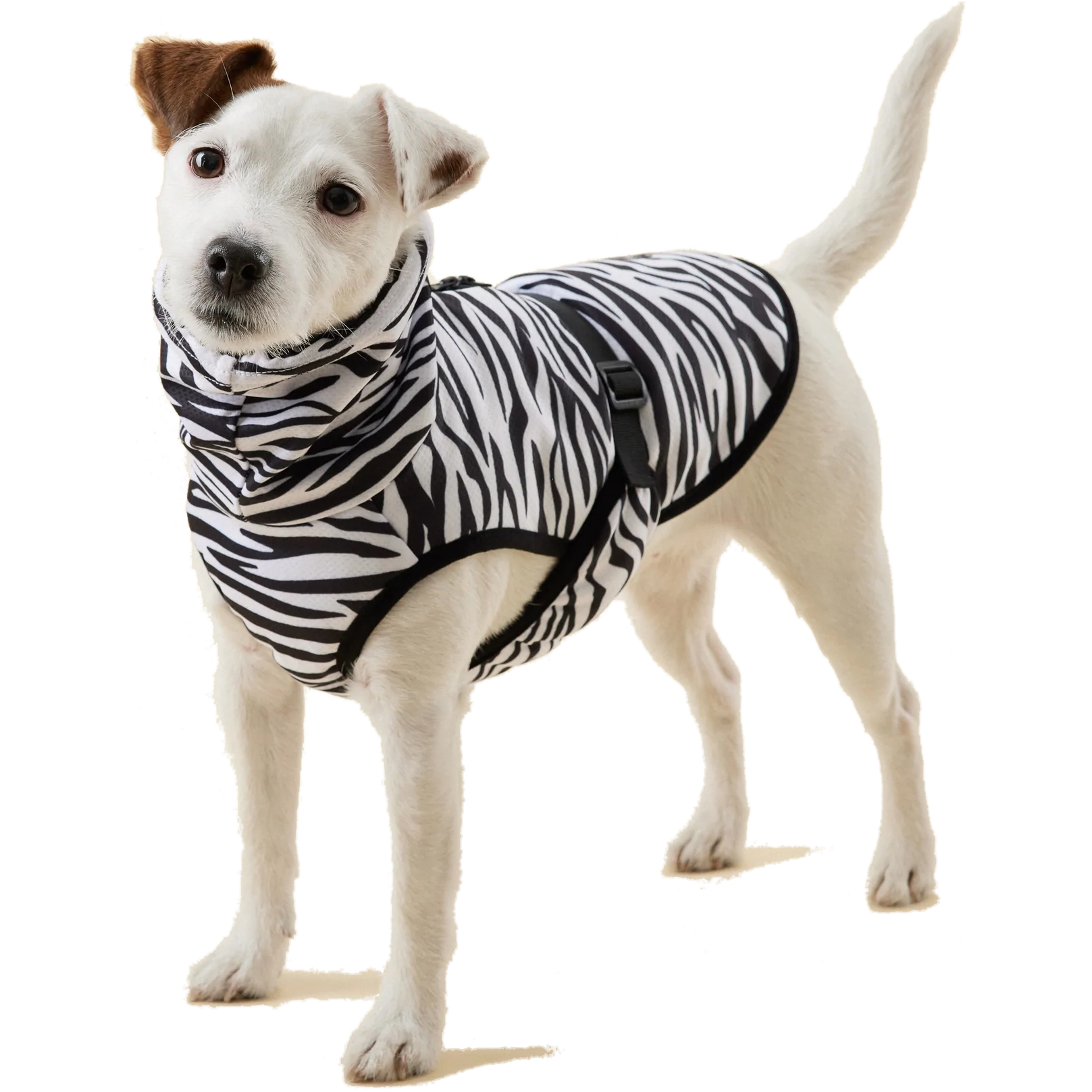 PAIKKA - Cool&Bug Vest 25cm - Hund - Hundepleie & kosttilskudd - Kjølematter - ZOO.no